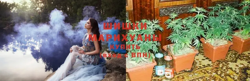 Бошки марихуана Amnesia  купить   Льгов 